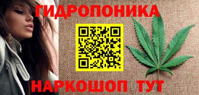 ГАЛЛЮЦИНОГЕННЫЕ ГРИБЫ Ипатово