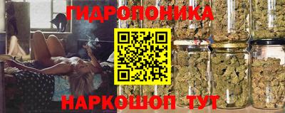 ГАЛЛЮЦИНОГЕННЫЕ ГРИБЫ Ипатово