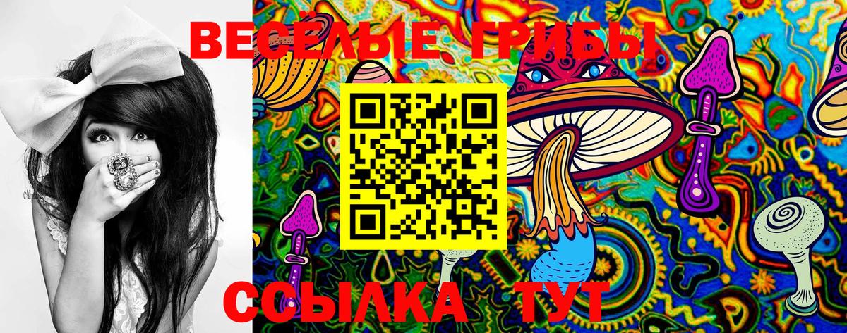 Галлюциногенные грибы Psilocybe Лянтор